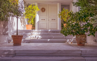 elegant white house facade and entrance door with potted plants