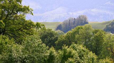 Fototapeta premium suisse centrale