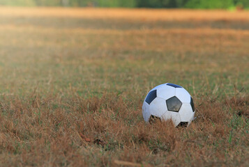 Soccer ball on grass green,football on grass