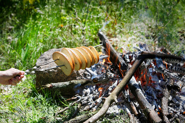 Tourist fries slices of bread over the fire. Picnic. Cooking food over an open fire. 
