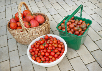 Basin, bucket and basket with tomatoes on the background of pavers