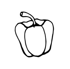 bell pepper, black contour drawn with a pen