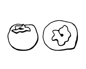persimmon, black outline drawn by a pen