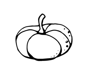 pumpkin, black outline drawn by pen