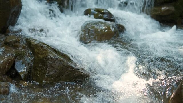 Close up of small mountain stream with clear blue water flowing between wet stones in summer forest.