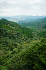 Fototapeta na wymiar 加久藤峠から見る新緑の風景