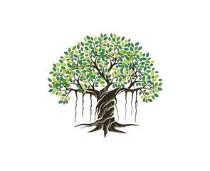 banyan tree hand drawn design