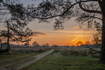 Fototapeta premium Sunrise in Drenthe 