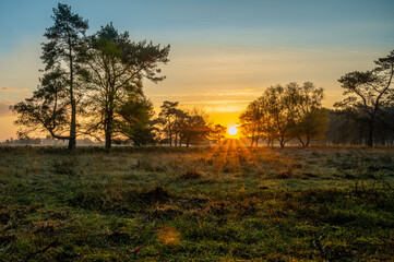 Sunrise in Drenthe 