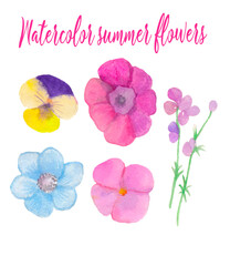 Watercolor multicolor wildflowers set, pansies flourish clip art, flourish elements