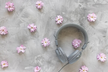 Headphones and sakura flowers on gray spring floral background. Music, podcast, e-learning concept. Top view, flat lay, copy space