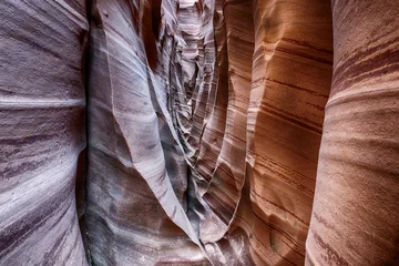 Foto auf Leinwand Zebra Canyon in Utah in the USA © Fyle