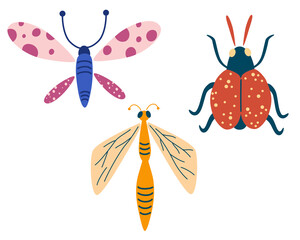 Insects set. Dragonfly, butterfly, Beetle. Hand drawn decorative design elements. Cute cartoon modern flat vector illustration.