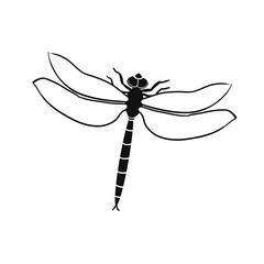 Hand drawn sketch black and white flying insect dragonfly. Vector illustration. Elements in graphic style label, card, sticker, tattoo, package. Engraved style.