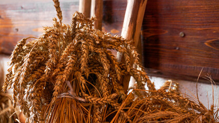 Naklejka premium Golden ears of wheat on a wooden background. Ears for making flour. Workshop for handmade bread. Harvest concept