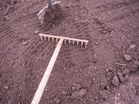 Work with a garden rake on the ground. Cleaning the land in early spring.