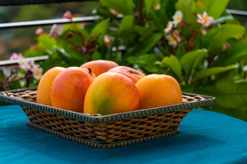 Fototapeta na wymiar Closeup view of mango fruits in a basket 