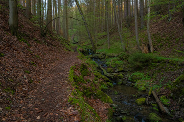 Morgens im wildromantischen Sebnitztal