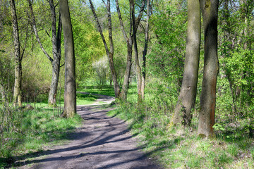 Lviv city spark in the early spring season