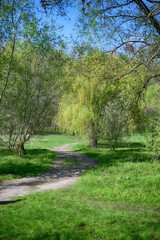 Naklejka premium Lviv city spark in the early spring season
