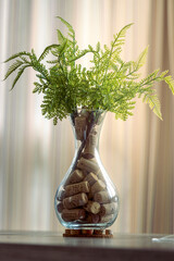 Green plant in vase with wine corks on a soft background. 