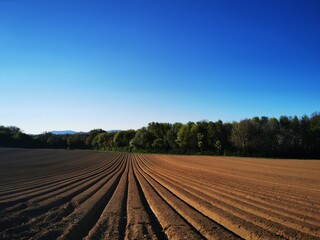 Akurates Ackerfeld mit blauem Himmel, Bauern Ernte Landwirtschaft 