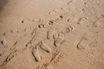 Family messy footprints on sand on the beach