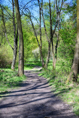 Lviv city spark in the early spring season
