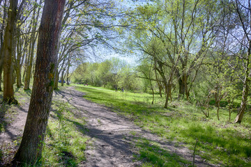 Lviv city spark in the early spring season