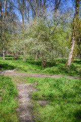 Lviv city spark in the early spring season