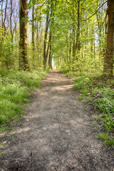 Lviv city spark in the early spring season