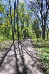 Lviv city spark in the early spring season