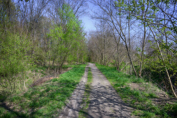Lviv city spark in the early spring season