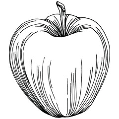 Obraz premium lemon isolated on white background. &nbsp;Organic essential oil engraved style sketch. Beauty and spa, cosmetic ingredient. Great for label, poster, flyer, packaging