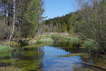 Ellbacher Moor bei Bad Tölz