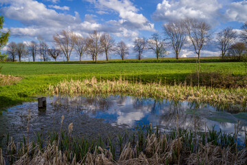 ein Weiher auf einer Wiese, im Hintergrund blauer Himmel mit Wolken