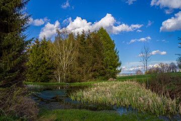 ein Weier auf einer Wiese, im Hintergrund blauer Himmel mit Wolken