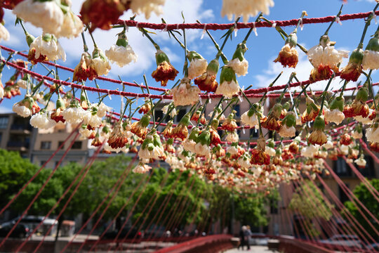 girona flower festival, temps de flors girona, catalunya. bridge decorated with flowers hanging upside down