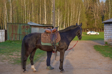 A saddled horse stands on a country road, a girl stands behind the horse.