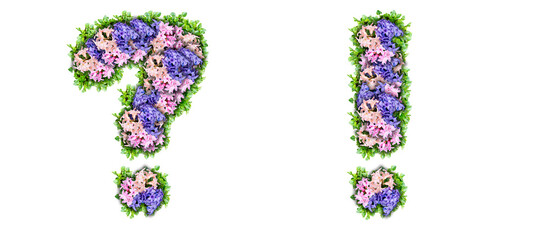 Question mark and exclamation mark made of flowers and green leaves