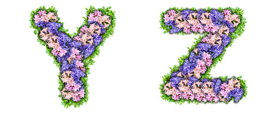 letters Y, Z made of flowers and green leaves