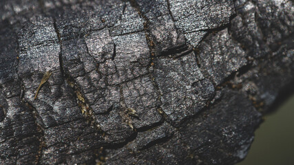 Dark black background of rough burnt wood, soot, and ash. Burn texture