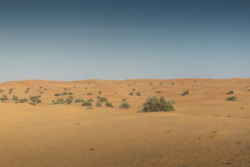 Fototapeta na wymiar Tour durch die Wüste in der Nähe von Dubai