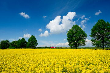 Obraz premium 153D31