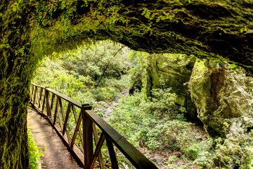 Los Tilos, La Palma Island, Spain