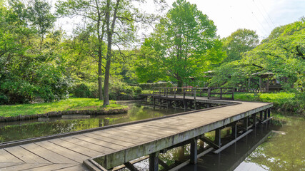 Fototapeta na wymiar 池と木道の風景／智光山公園（埼玉県狭山市）