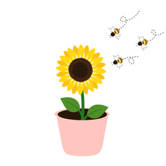 Obraz premium Sunflower pot and bee cartoons icons isolated on white background vector illustration.