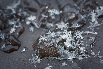 Schneeflocken auf Eis Eiskristalle
