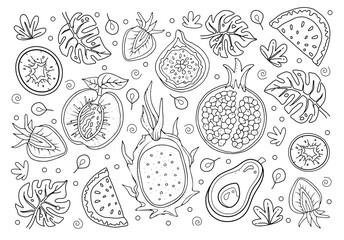 Hand drawn coloring page for kids and adults. Summer tropical fruits. Beautiful drawing with patterns and small details. Coloring book pictures. Vector