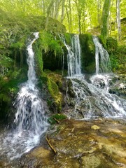 waterfall in the forest